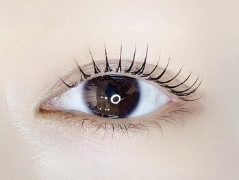 リノ カヒリ アイラッシュ(Lino kahili)/ラッシュリフト