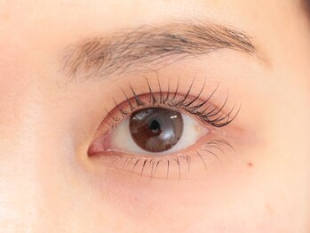 イル(ile)/上下まつげパーマ