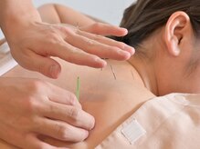 ハリスパ 堀江院