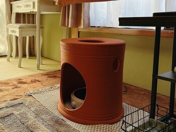 ボヌールの写真/【よもぎの蒸気に包まれる、うるおい温活】乾燥が気になる方や、季節の変わり目にもおすすめです。