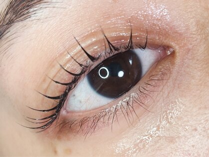 アイラッシュリング(EYELASH RING)の写真