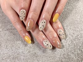 3月定額Bコース