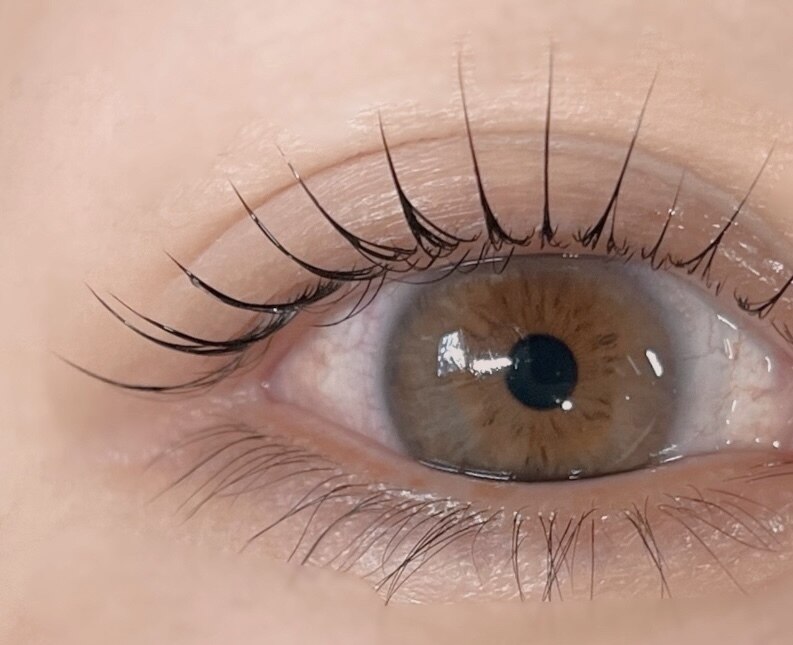 次世代まつげパーマ☆ラッシュリフト (高保湿コーティング付き)