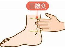 伊藤マッサージサロン/三陰交
