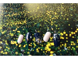 シャイニースター