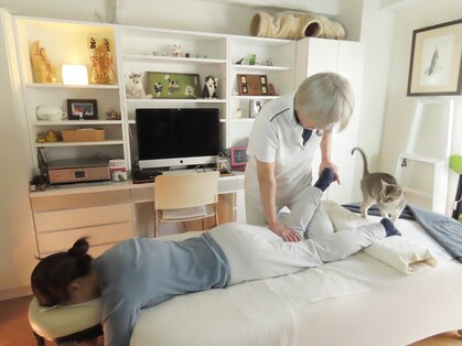 サキカイロプラクティック 麻布十番の写真