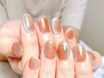 トゥインクリーネイルサロン(Twinkly Nail Salon)/マグネットネイル1カラー