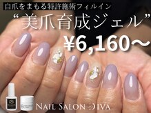 ディーバ 相模大野店(Diva)