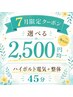 【あなたにあった施術をご提案】原因特定ハイボルト電気+整体 45分 2500円