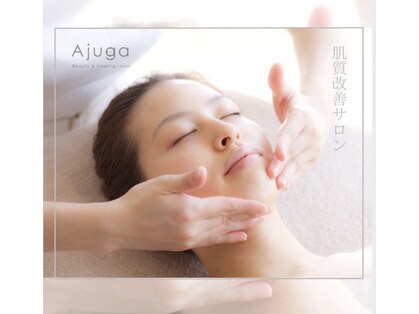 アジュガ(Ajuga)の写真