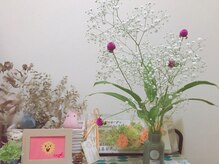 ハミングバード/今日のお花