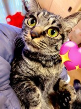 サロン ド フェルーチェ(salon de Feluce) フェイシャ ルスタッフ