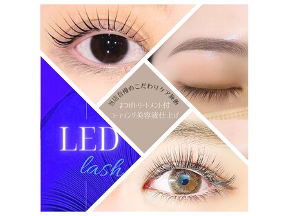 ヒパヒパ(Hipahipa!)の写真