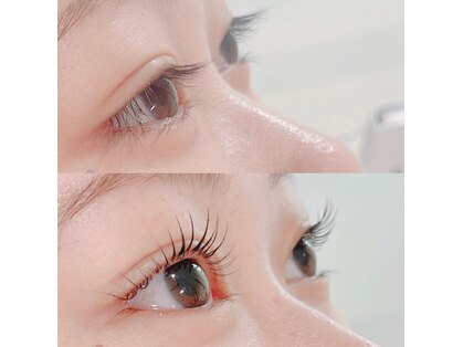 スターリー ラッシュ(Starry Lash)の写真