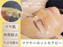 ジェミニ(Gemini)