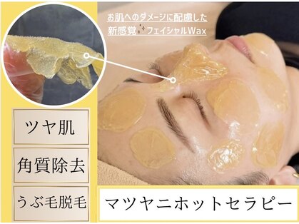 ジェミニ(Gemini)の写真