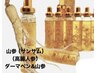 【小顔・肌質改善】サンサム(高麗人参)/ダーマ導入+LDM+ヘッド　40分¥7,300
