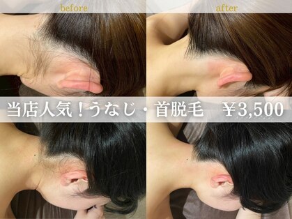 ディサイドロー(DECIDE L.A.W)の写真