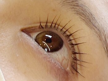 キャンアイドレッシー 木更津店(Can I Dressy)/次世帯まつ毛パーマ