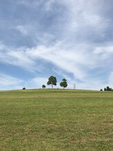 クスノキ(9sの木)/休日の過ごし方は外にいます