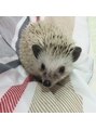 ナツインパウズ(Natwinpaws) 動物だいすき◎昔一緒に住んでいた子です♪
