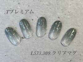ハンド定額プレミアムコース