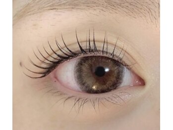 プティット シュシュ(Petit Chouchou)/バービーラッシュリフト