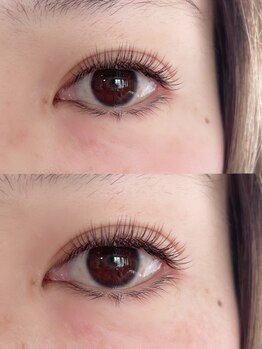 デイジー(DAY'S EYE)/エクステコーティング無し仕上げ