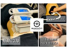 モンセルヴィ(monselvi)