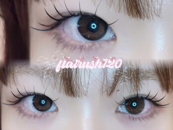 ナナ 福岡(NANA)/flatrush120