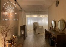 ルピナス(Lupinus)