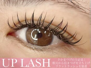 プリモアイラッシュ(Primo Eyelash)/Primo UP LASH