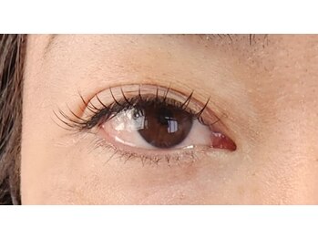 ジャポネスク(JAPONESQUE)/フラットラッシュ