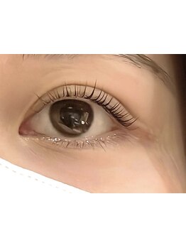 初めての方にオススメ