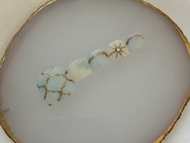 フット定額デザイン¥8500