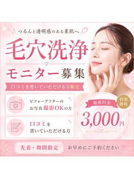 サロン カメリア(salon CAMELLIA)の写真/超音波ハイドロ毛穴洗浄で毛穴洗浄。美容液で洗う贅沢ケアで素肌を整える♪