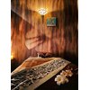 アジアンリラクゼーションヴィラ 玉島店(asian relaxation villa)のお店ロゴ