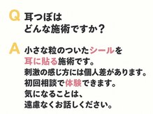 ととのえ/耳つぼはどんな施術？