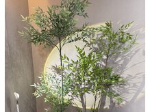 ワイエスヘッドスパ(YS)/