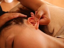 アイルビー(I’ll Bee)/冬到来に備えていきましょう。