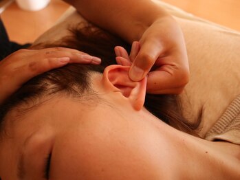 アイルビー(I’ll Bee)/冬到来に備えていきましょう。