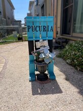 プチュリア(puCuria)/看板