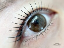 サロンドルクリア(Salon de LUCULIA)/＃ラッシュリフト上下