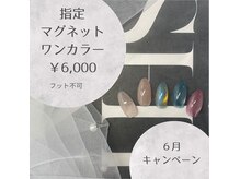 トータルケアサロン フワリ(Total Care Salon fuwari)の雰囲気（６月限定！人気の指定マグネット◎）