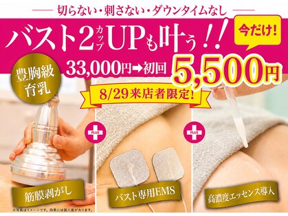 美人バスト新潟の写真
