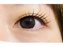 ペルシャ(Persian)/お客様デザイン（担当:宮井）