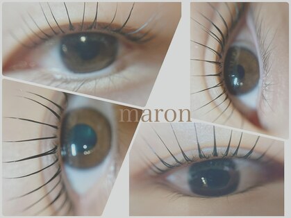 マロン(maron)の写真