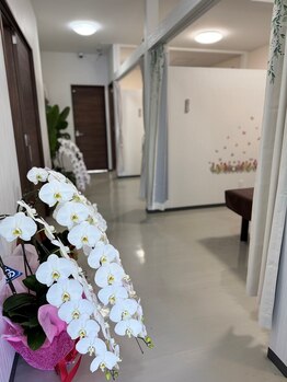 オルオル(Oluolu)/【店内の様子】