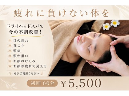 コーラル(CORAL)の写真