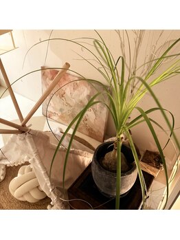 オージャススパ/こだわりのインテリアたち♪